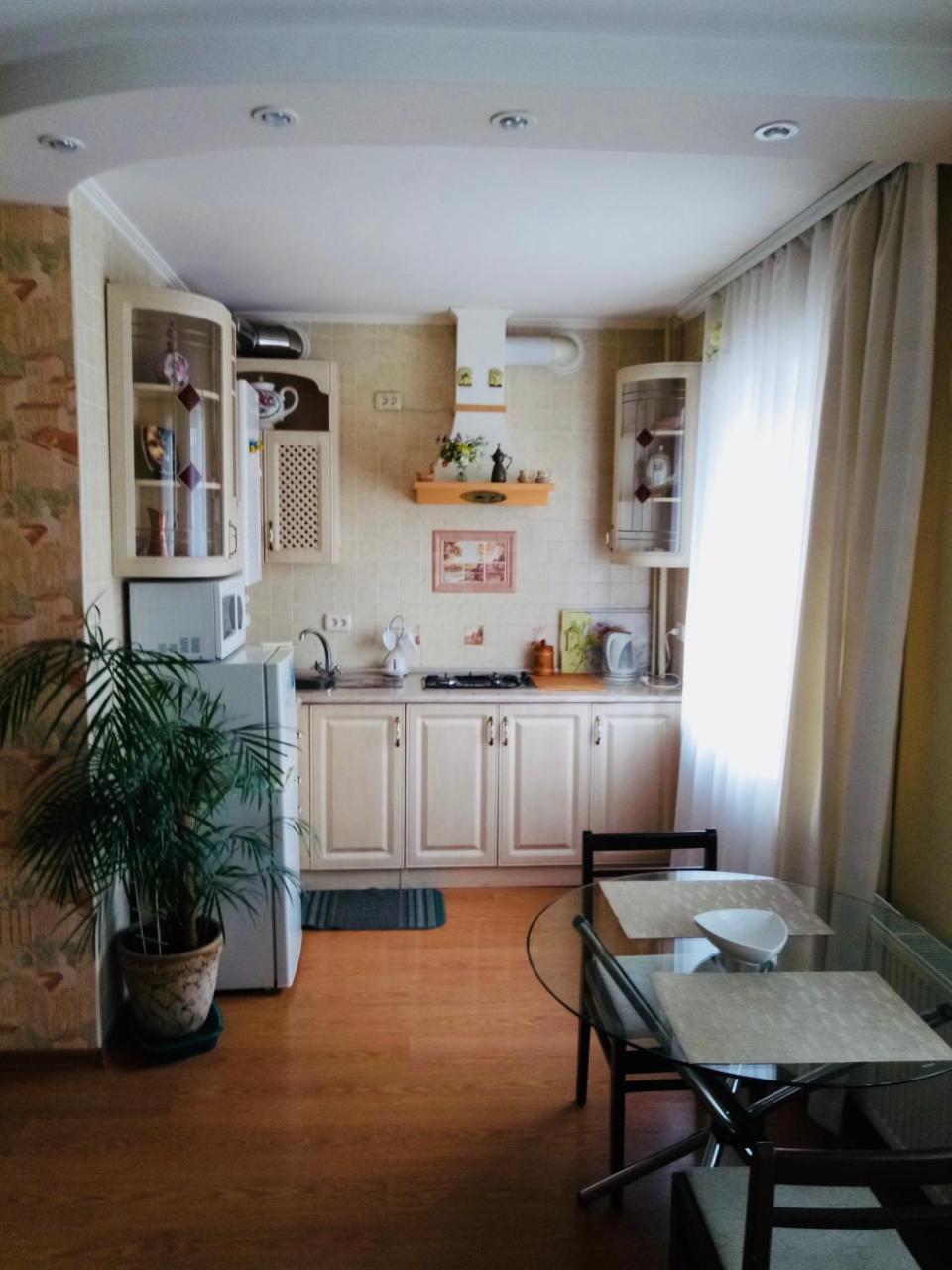 неймовірно затишна студія у самому центрі міста Apartment Vinnytsia